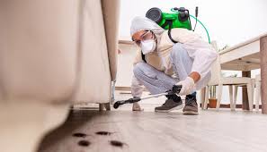 Professional Pest Control in Englewood, NJ